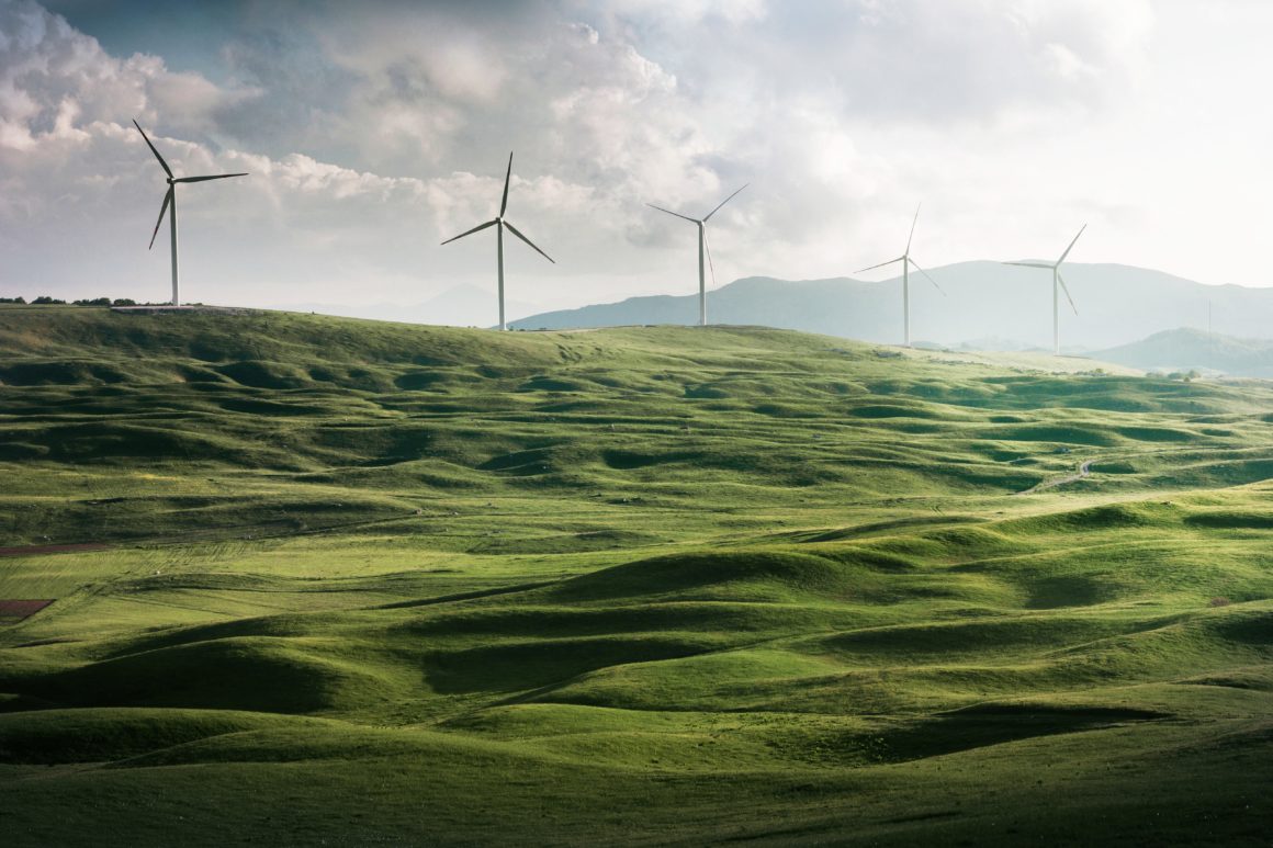 Płoński Klaster Energii – zarządzanie zieloną energią